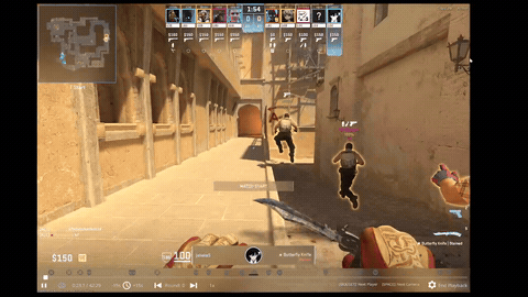 Counter-Strike 2 gameplay footage illustrating the source environment we extract training data from